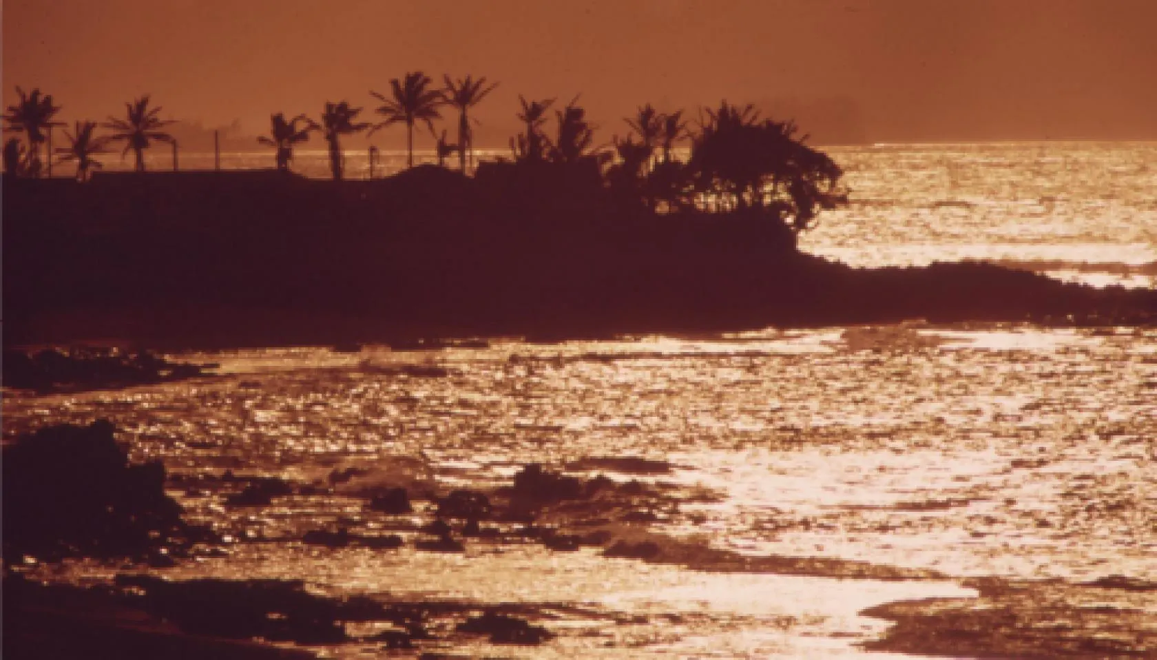 Norman Beach