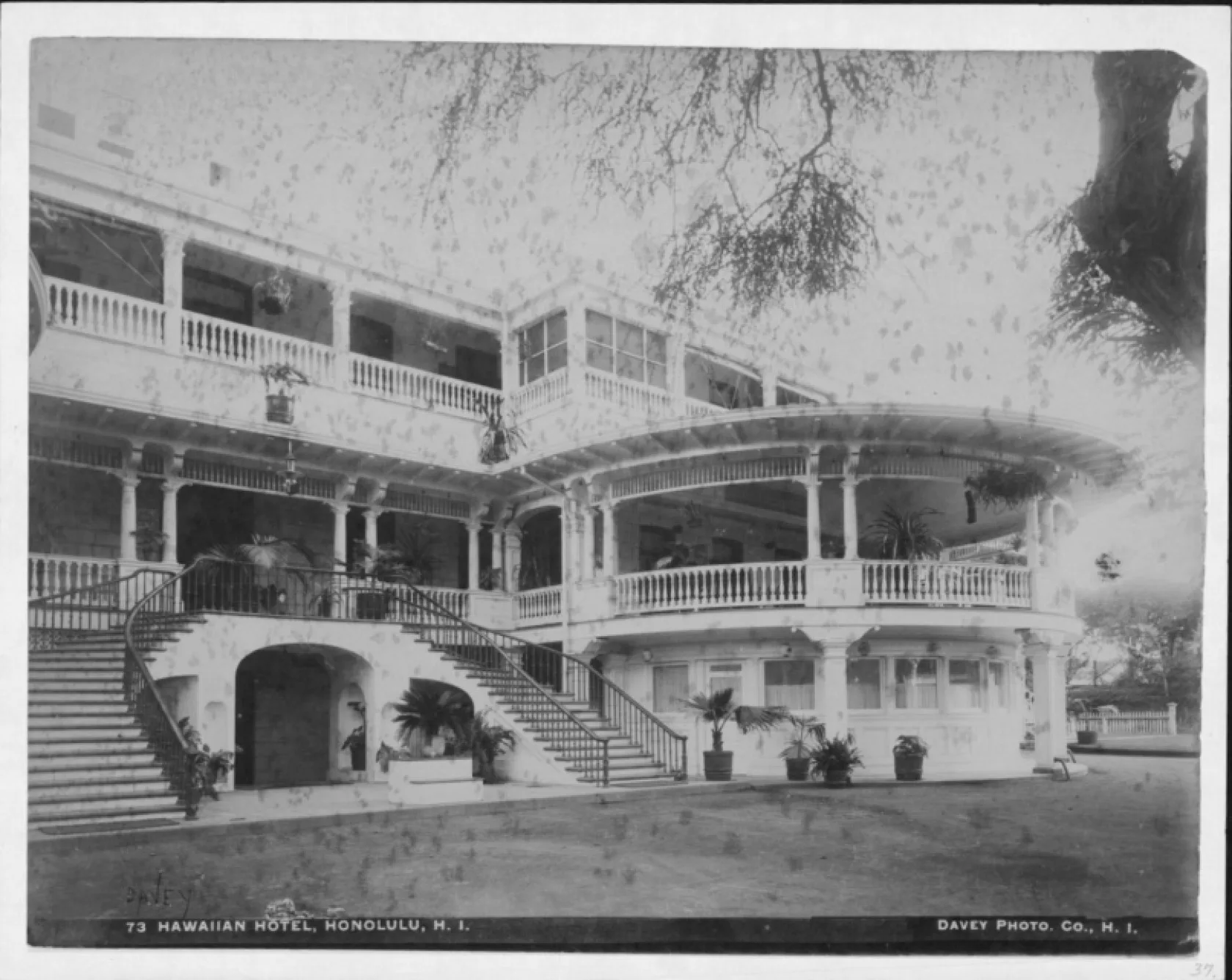 Norman House
